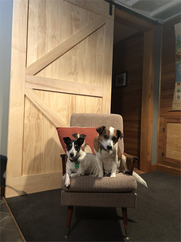 Living room with guests