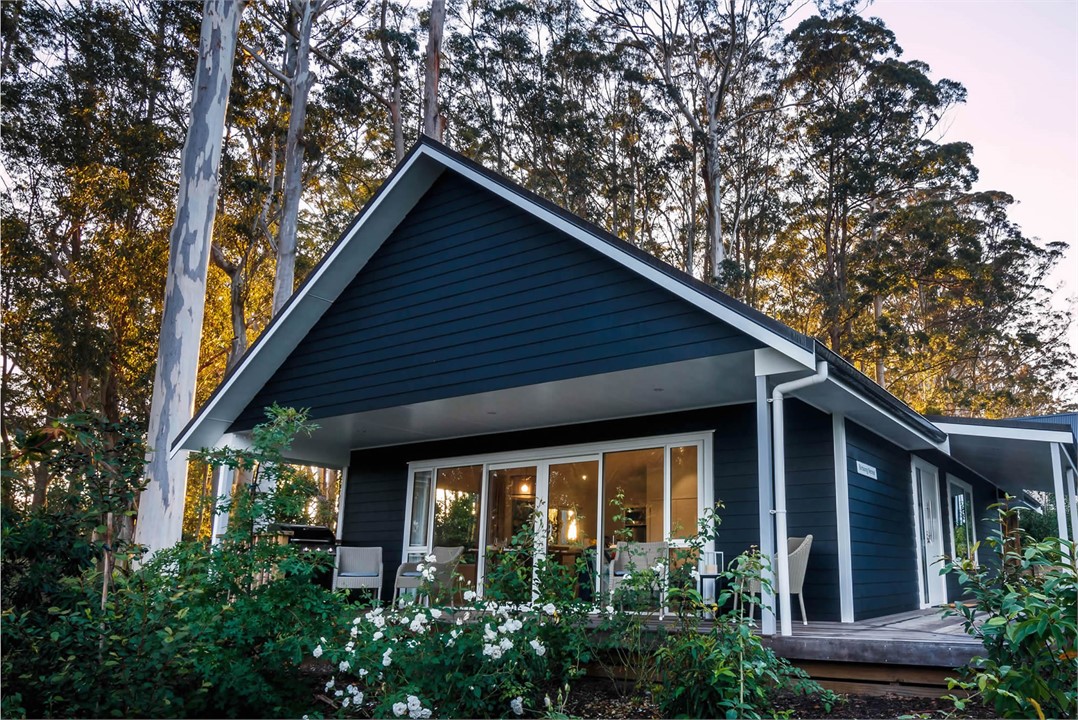 Birdsong Retreat in the early morning