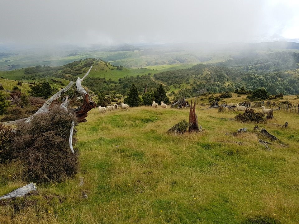 Up with the clouds on the Red walk