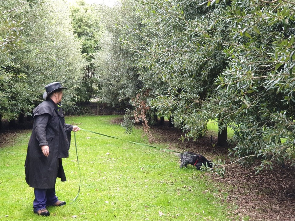 the doghandler and dog in our truffiere