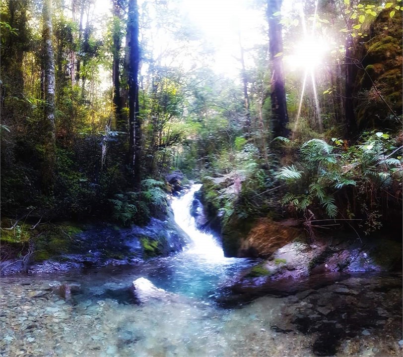 Mt Richmond national park