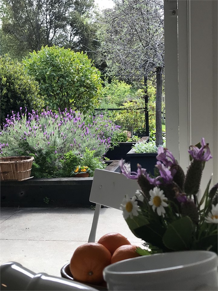 Pretty gardens off the kitchenette