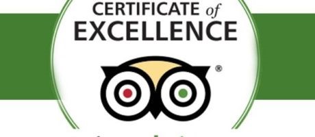 25++ great reviews on Tripadvisor