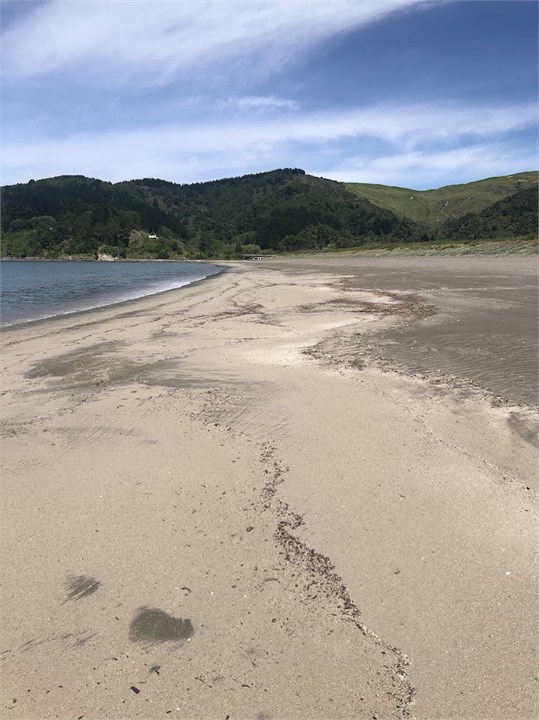 Beautiful Opoutama Beach