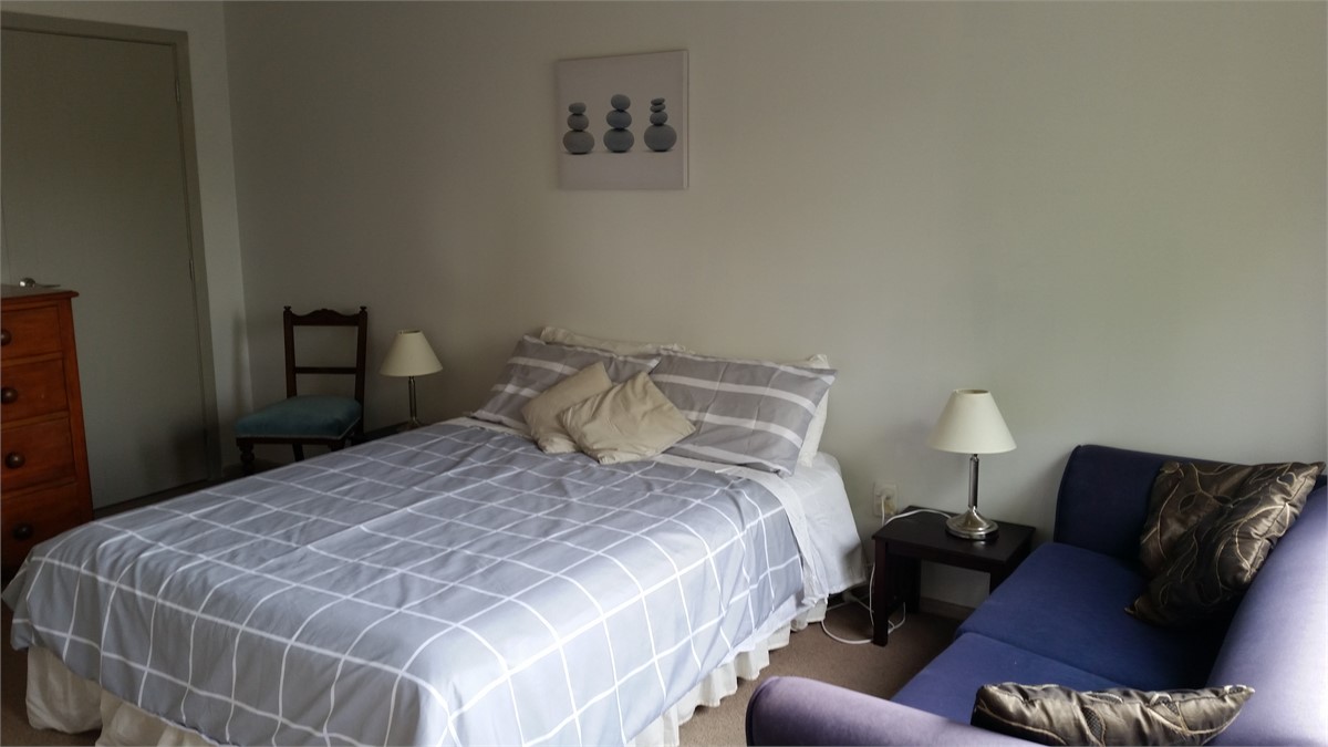 Downstairs Queen bed with pull out couch