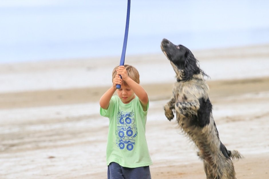 bring all the family (Photo by Alex Hunter)