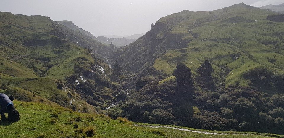 View back to your base