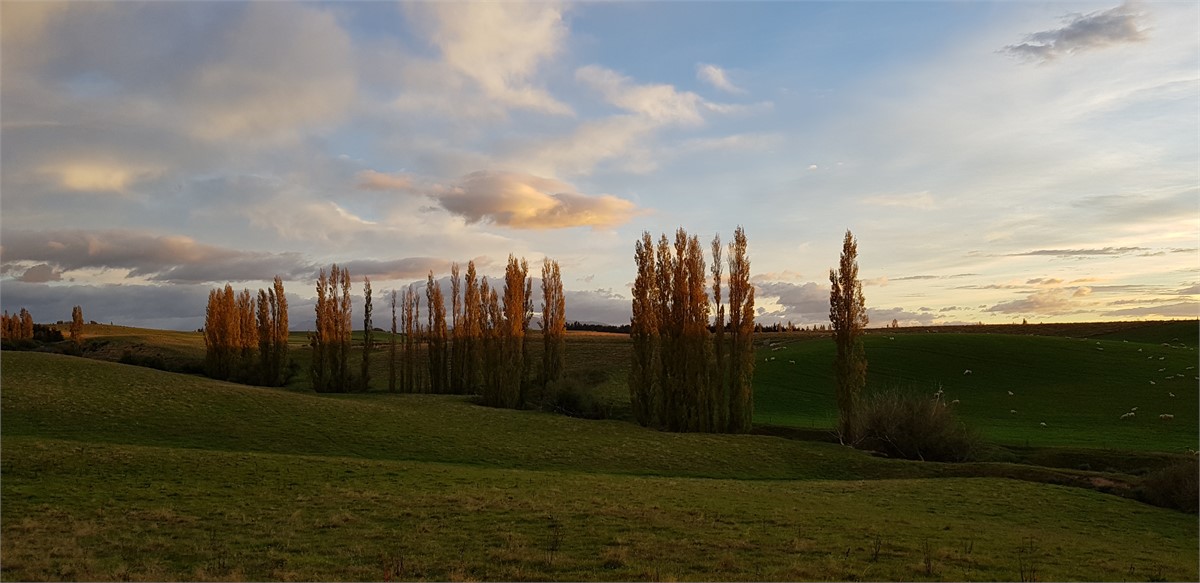 View from the road in.