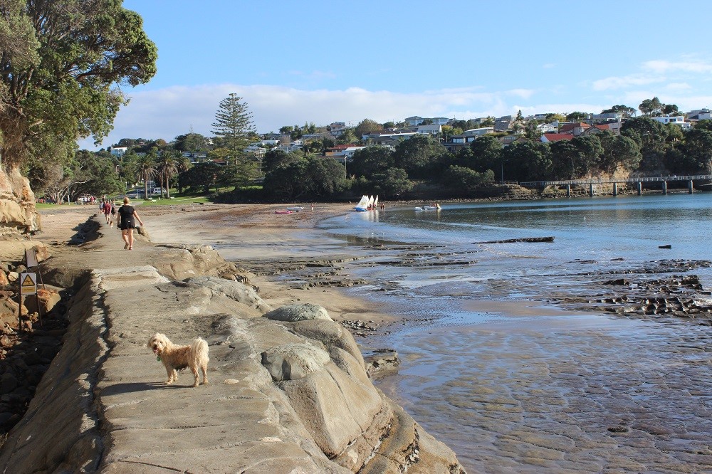 Beach Hideaway By the Sea North Shore Auckland & Others North Shore