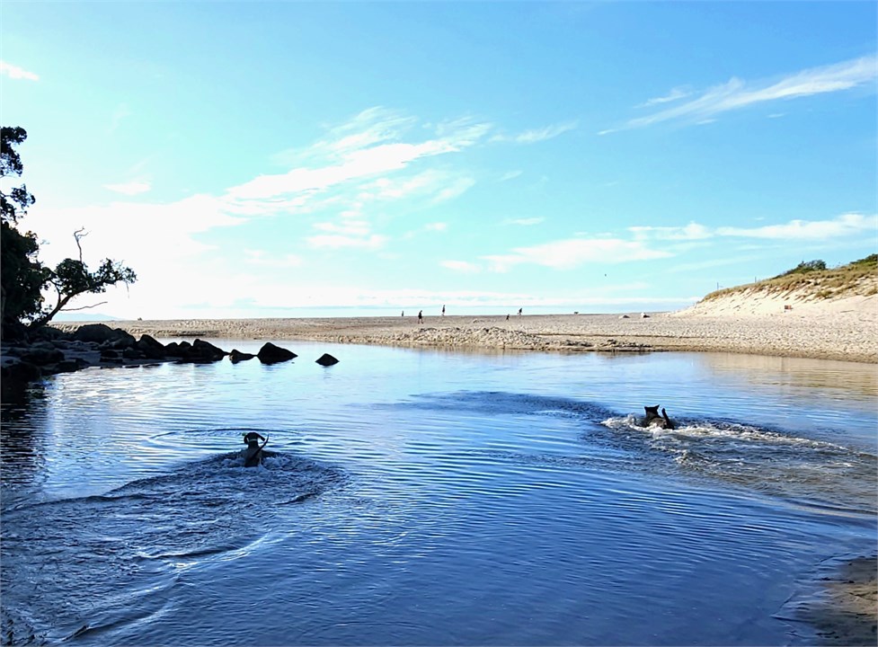 Our lagoon, safer gentle family fun at high tide