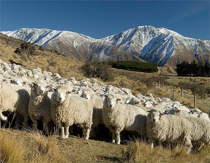A typical farm scene at Middle Rock.