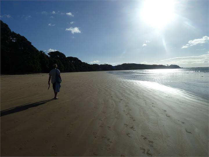 Nearby Coopers beach