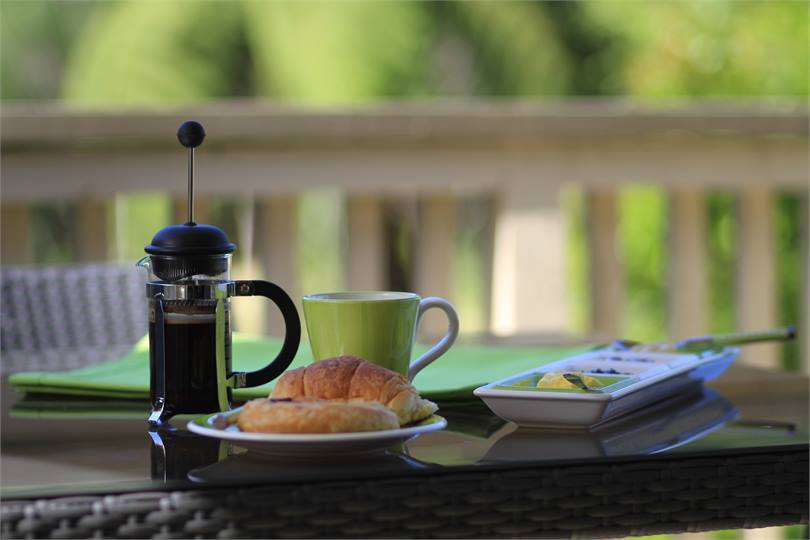 Breakfast with the Birds on the Sunny Balcony