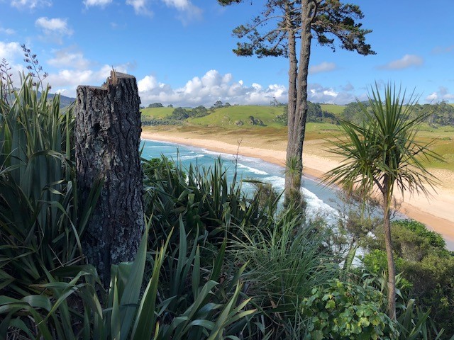 View from shell steps