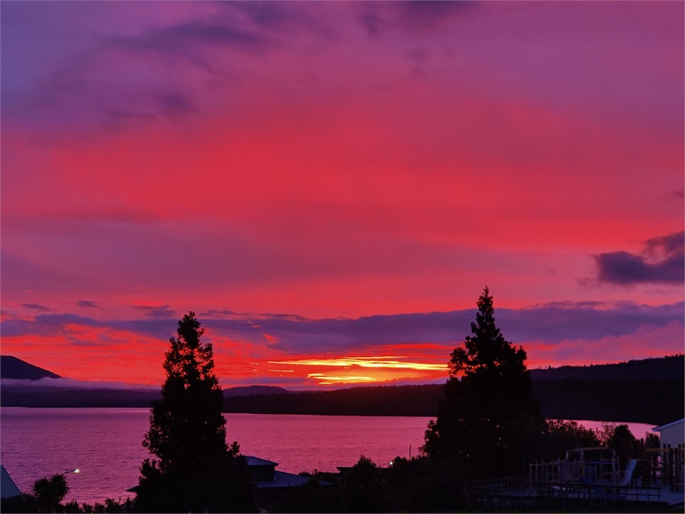 View over the school grounds