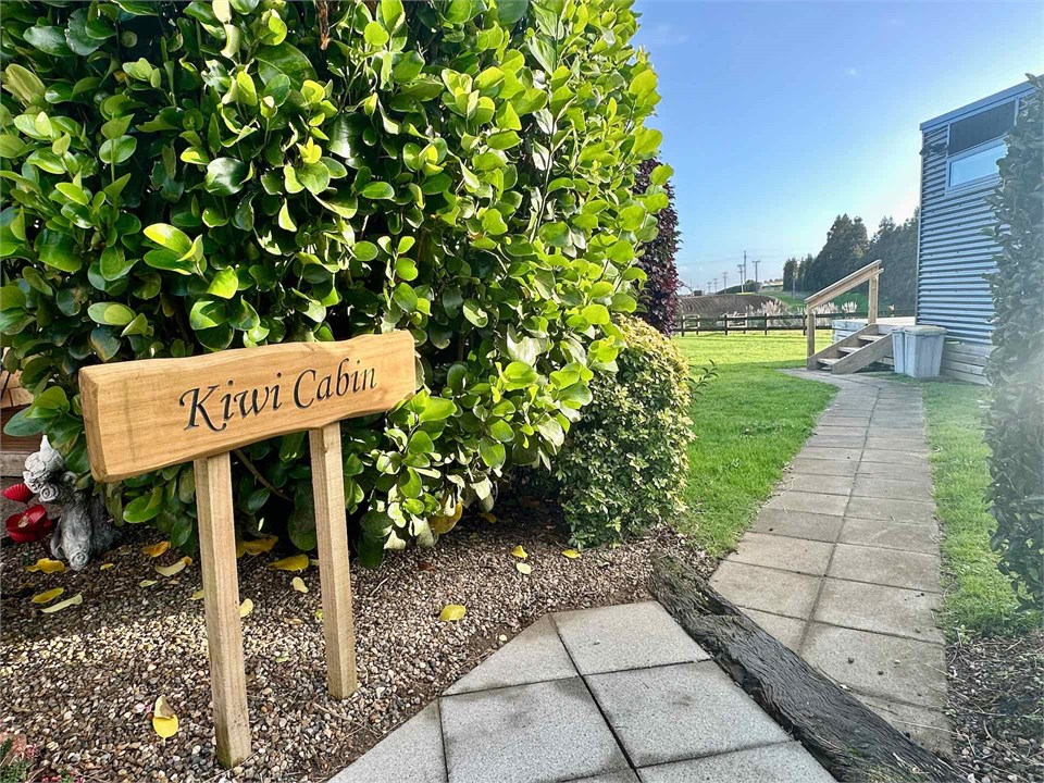 Kiwi Cabin path