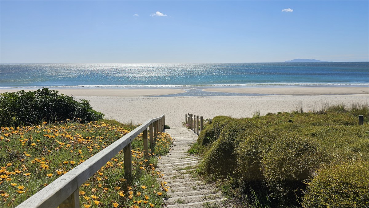 Good morning Whiritoa!- a 60 second walk!