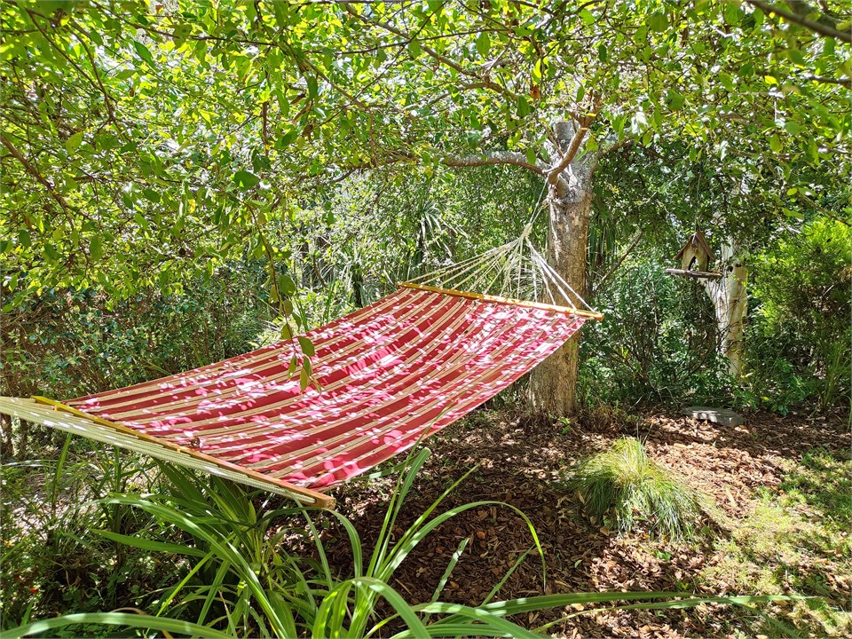 Hammock