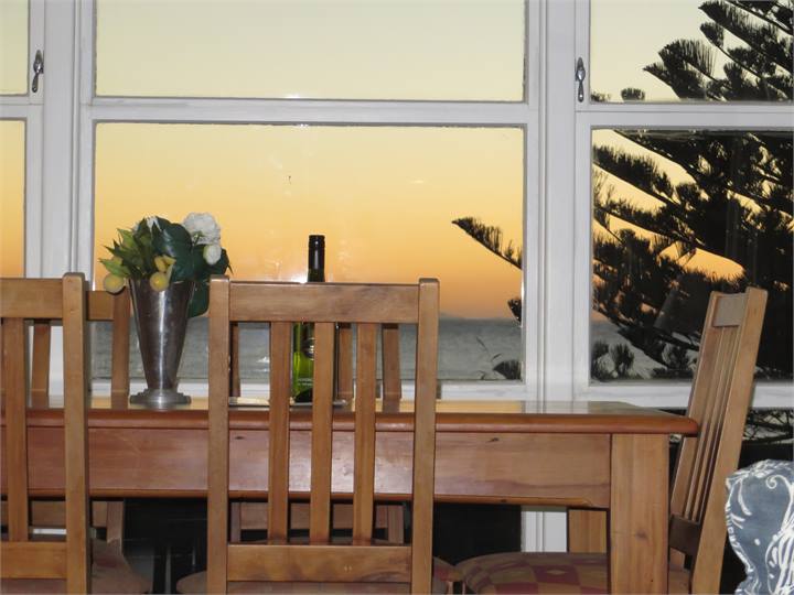 Sunset through the norfolk pine