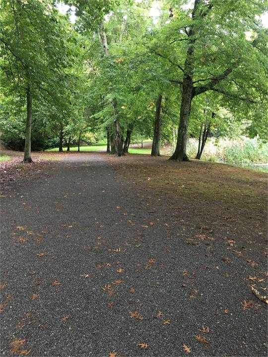 Lake at the end of the street for a morning walk