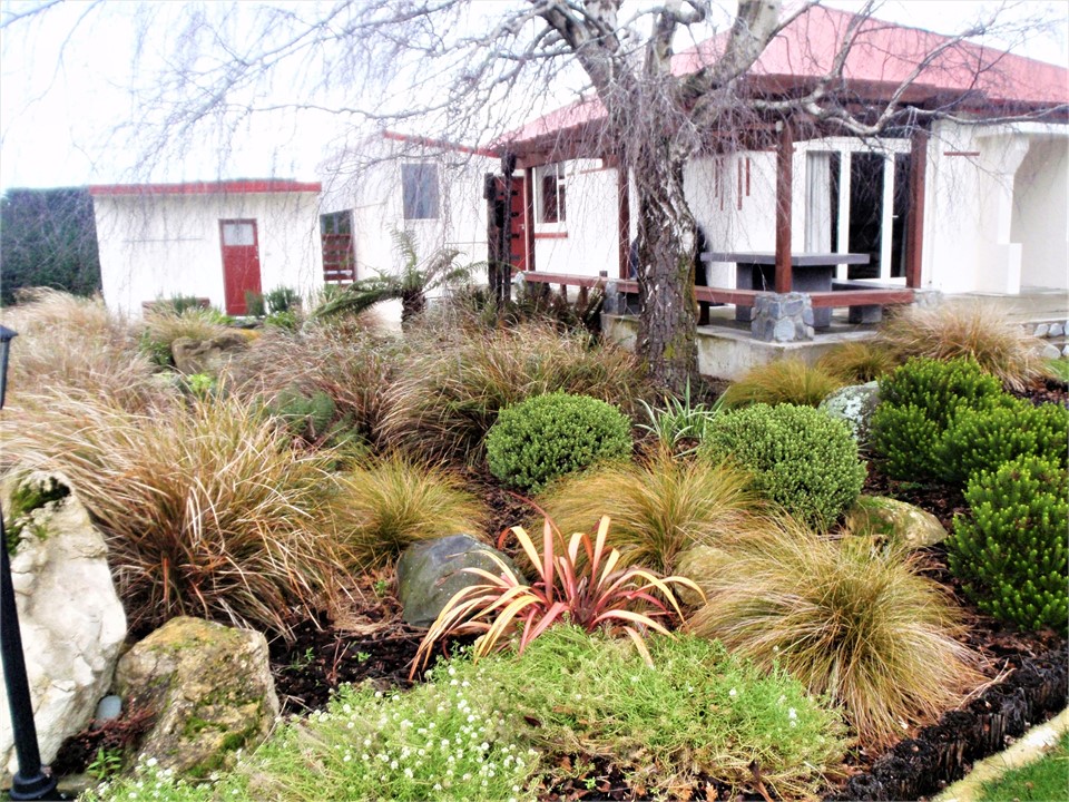 The garden features many New Zealand native plants