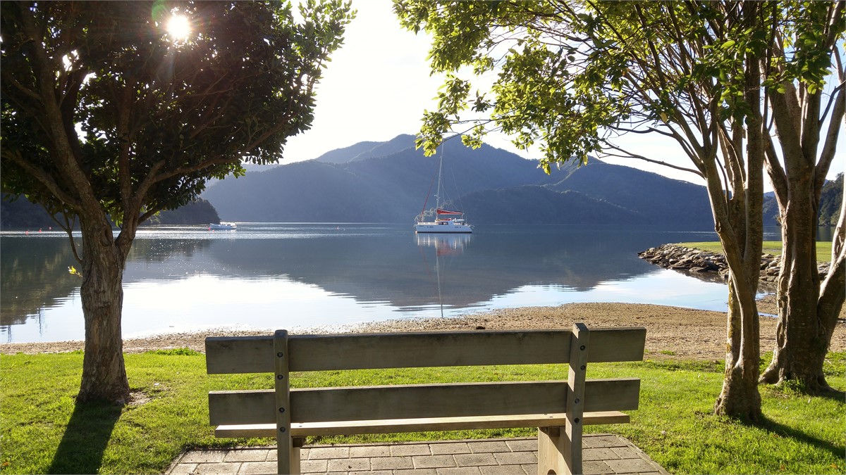 Not bad for a winters afternoon!