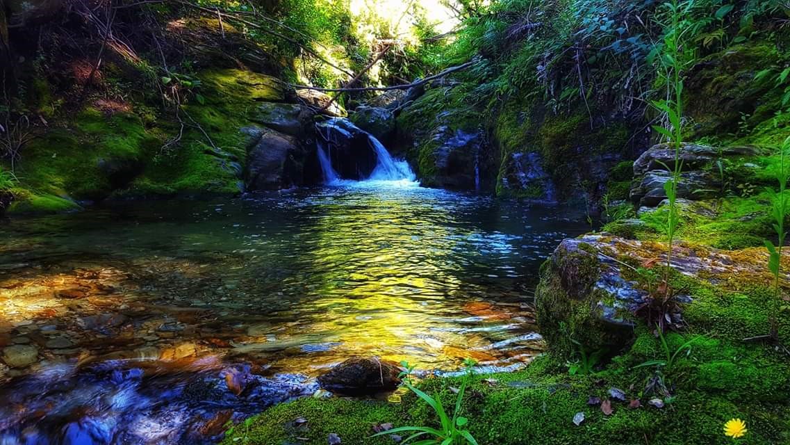 Stream near Mt Fishtail