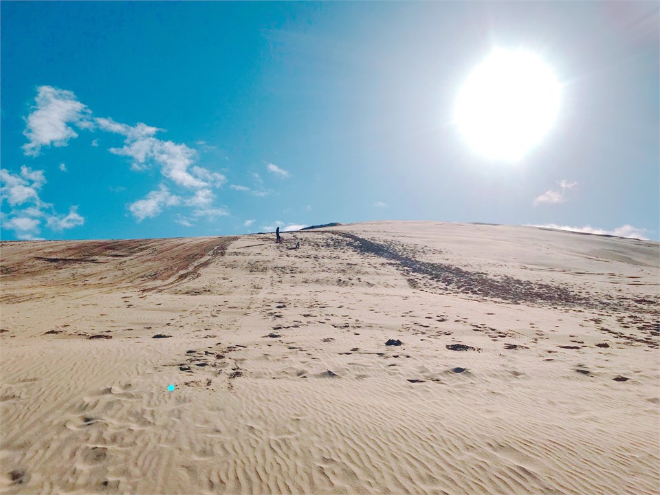 Te Paki Giant Sand Dunes.