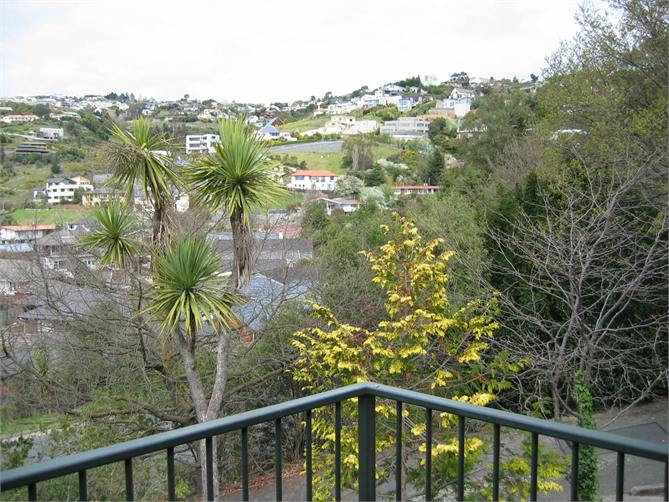 Looking out from morning deck