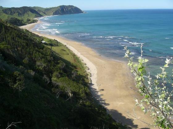 Waihau beach minutes from the lodge