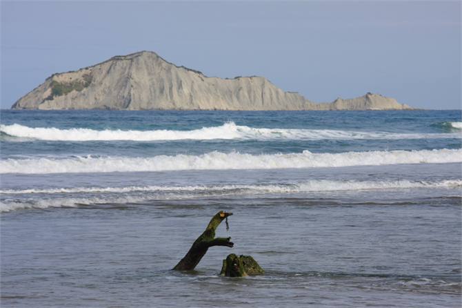 Iconic Bare Island (Credit C. Leaning)