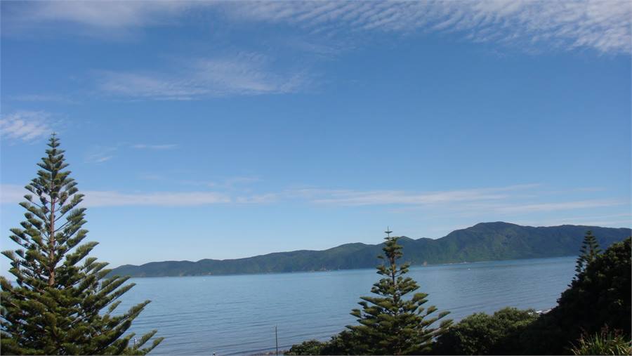 View from upstairs balcony