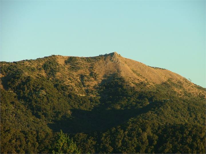 Bush walk up to the Rocky Knob