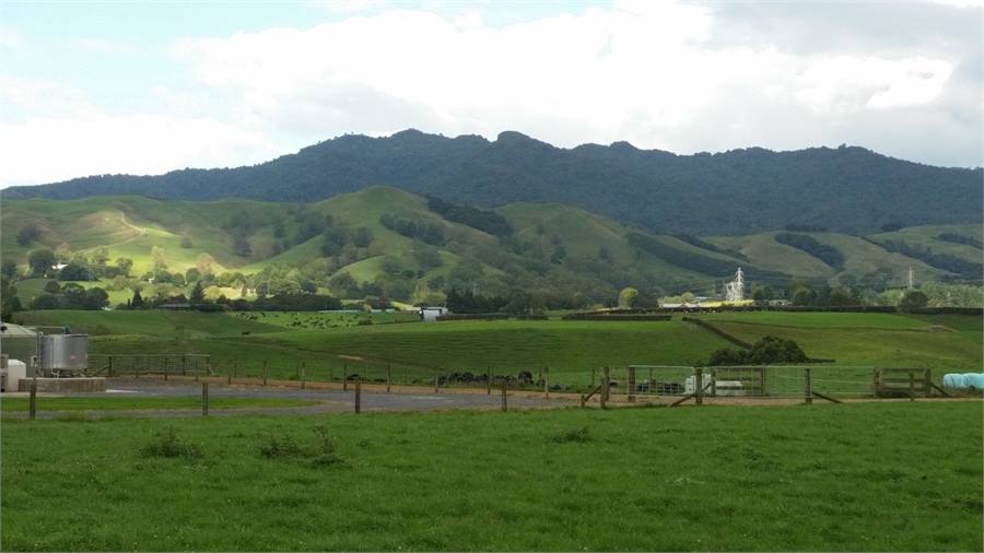 View from cottage of Mount Maungatautari-Sanctuary