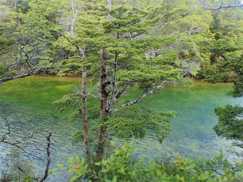 The Mararoa River flows out of the Mavora Lakes