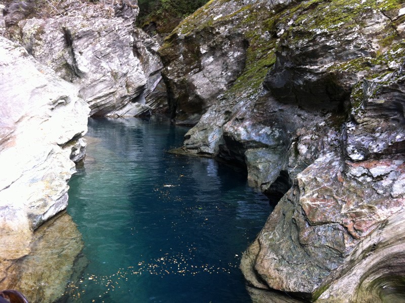 We just love the Dart River jet boat trip