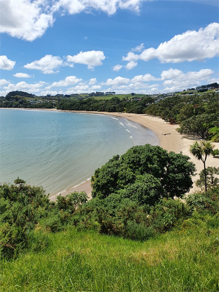 Coopers Beach taken from the Beach Reserve