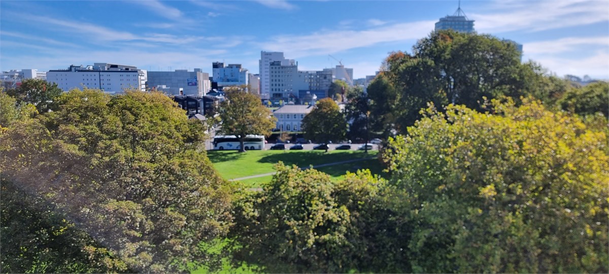 View of the city from the property