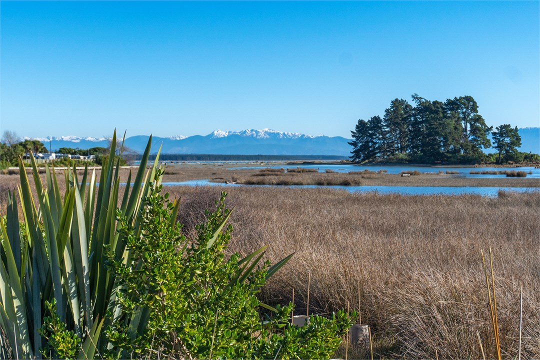 Nearby Tahunanui Beach