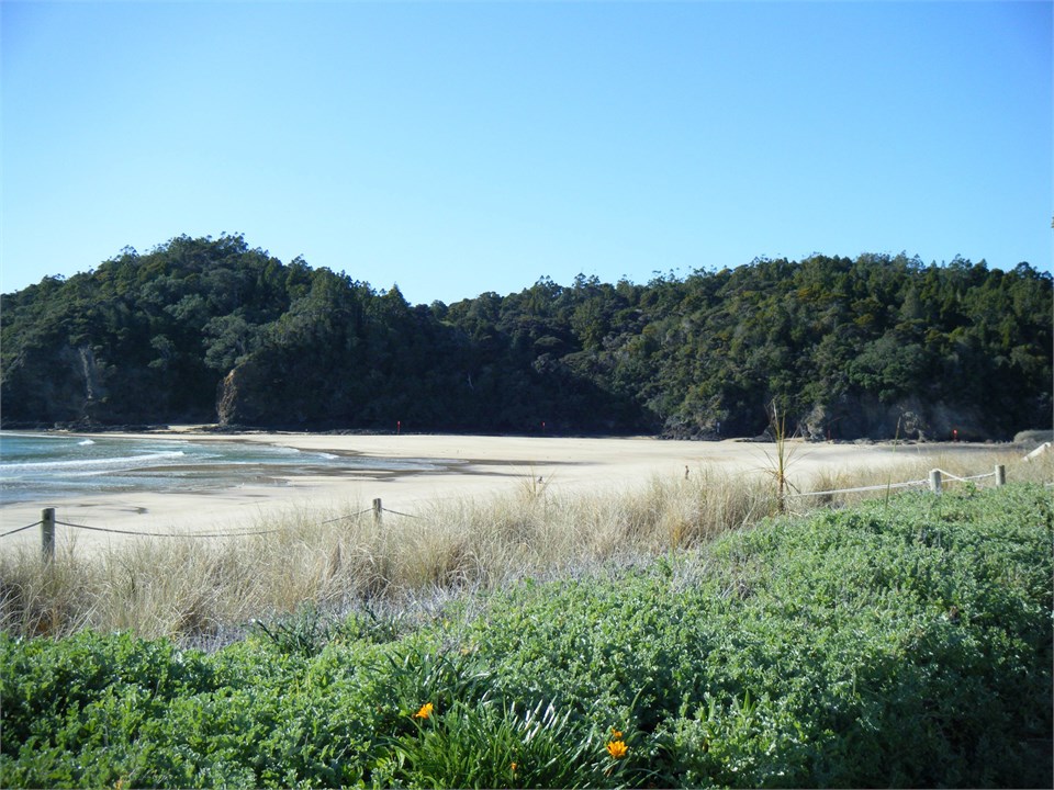 View from the Section