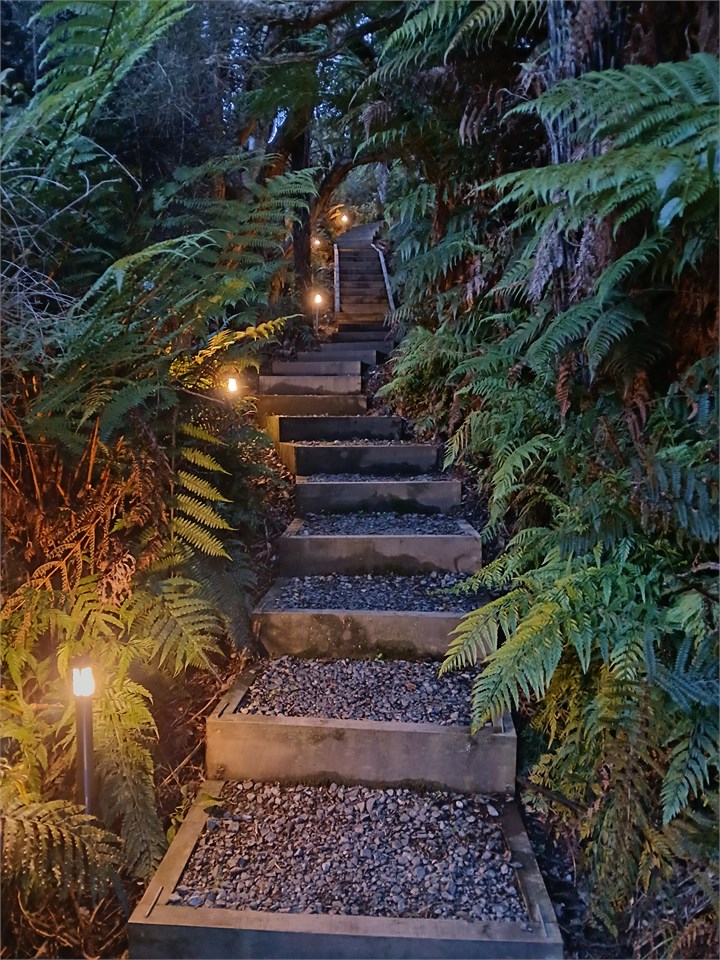 Five Ferns Access