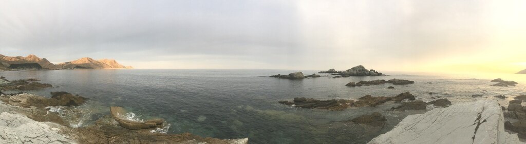 Manurewa Reserve - 3 minute walk from bach