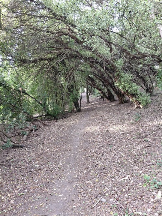 Roy Couper Nature walk