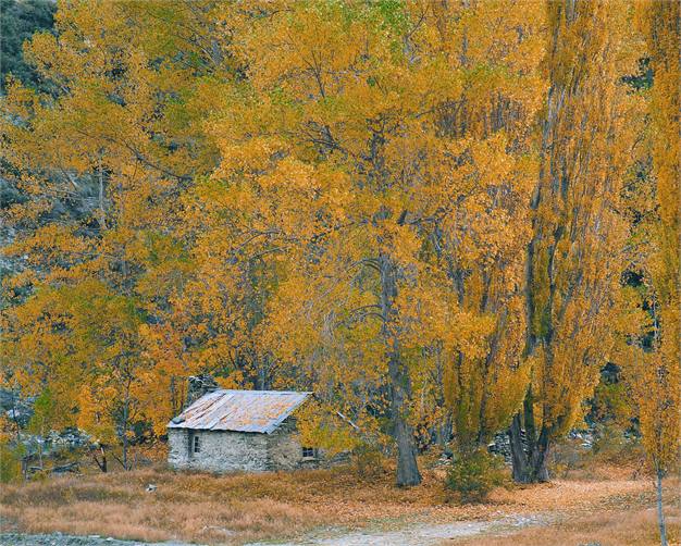 Arrowtown Autumn