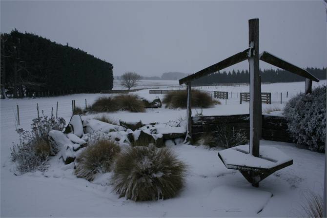 Garden in snow