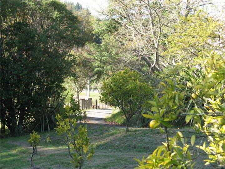 Organic orchards, spaces to wander, 3 min Mapua