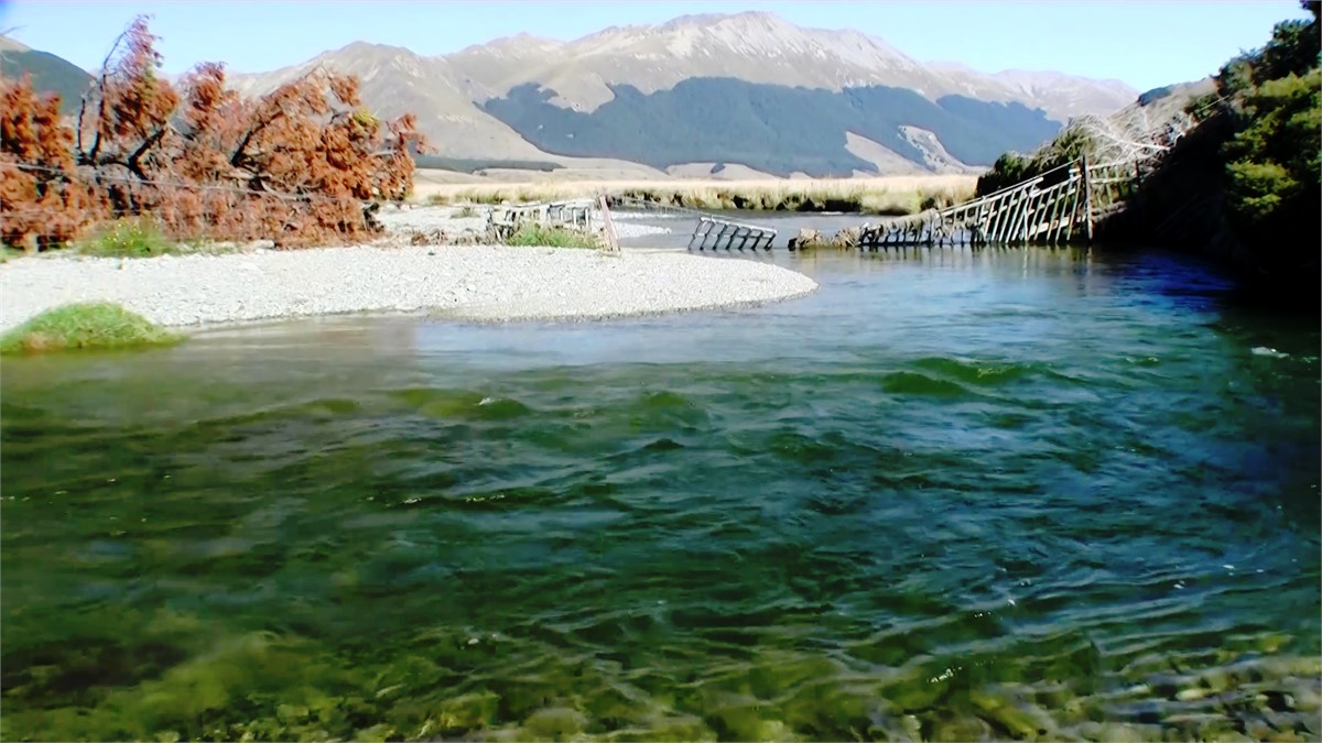 The Oreti River is famous for sight fishing.