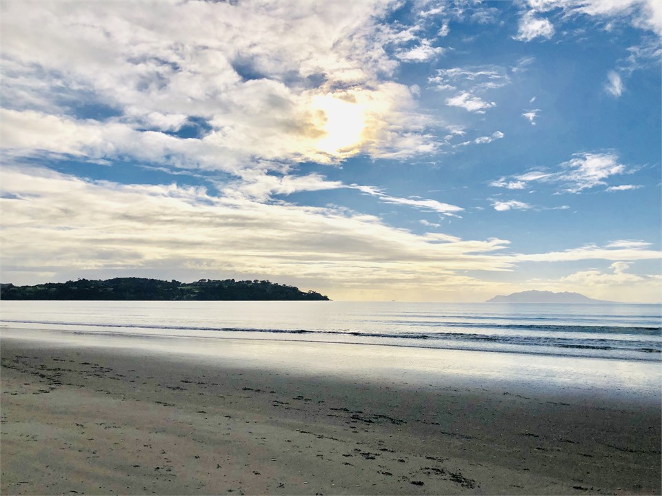 Winter morning walk portrait from your back door
