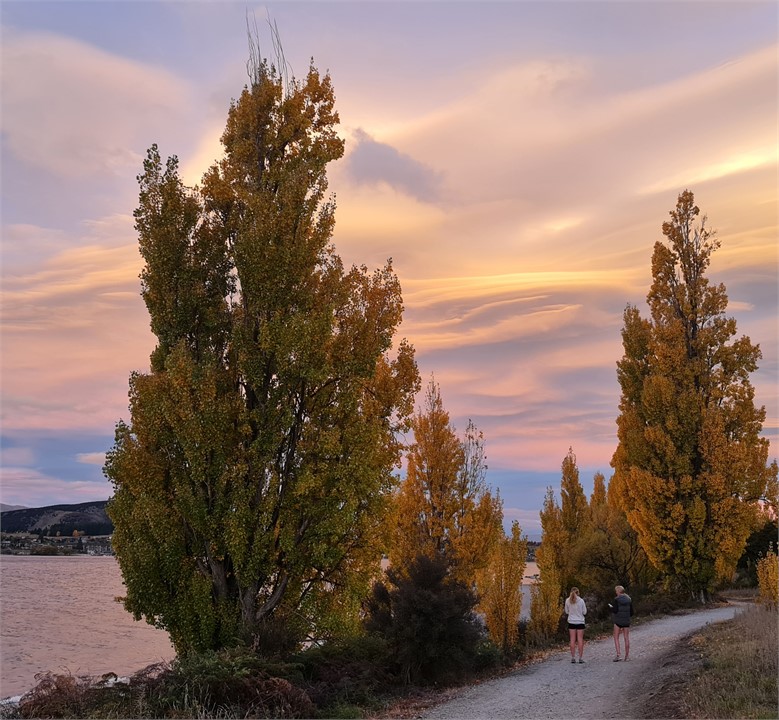 Waterfall creek walk - stunning autumn colours!