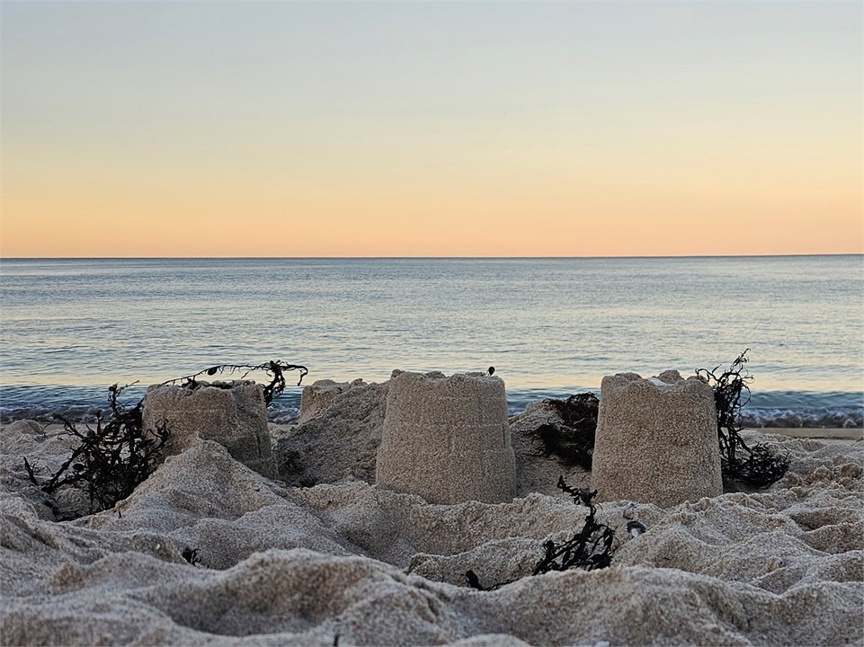 The Sand Castles survived till high tide!